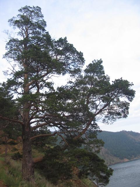 foto 044.jpg.jpg
